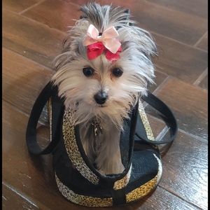 New York Dog Black Zebra Open Tote